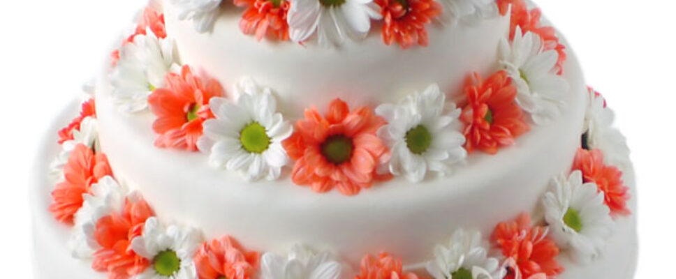 Tort weselny z białymi i pomrańczowymi margerytkami